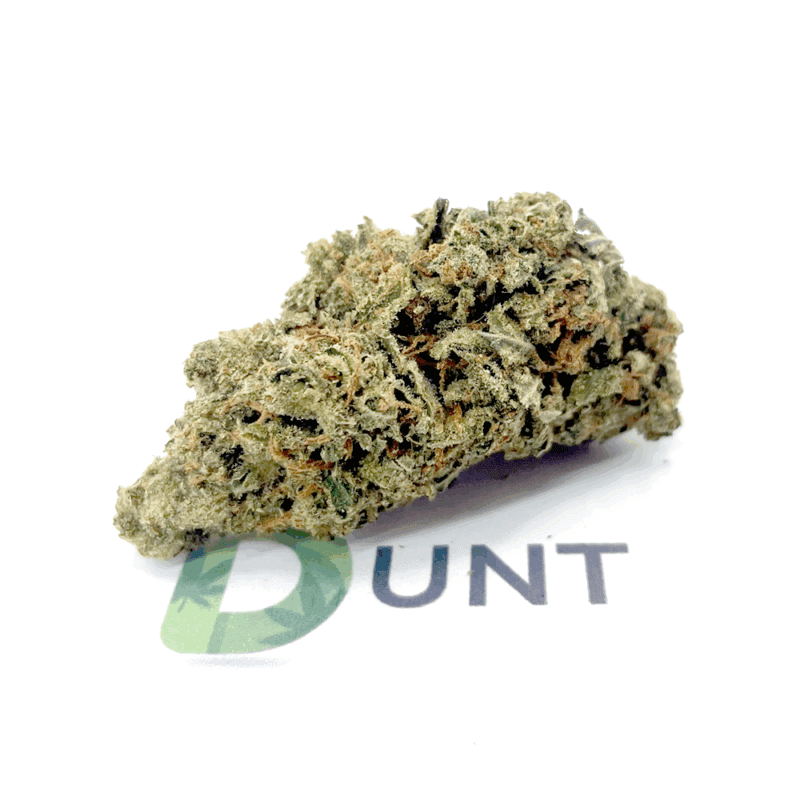 Super Silver Haze wiet