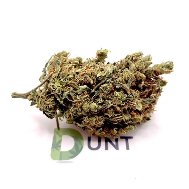 Lemon Haze wiet