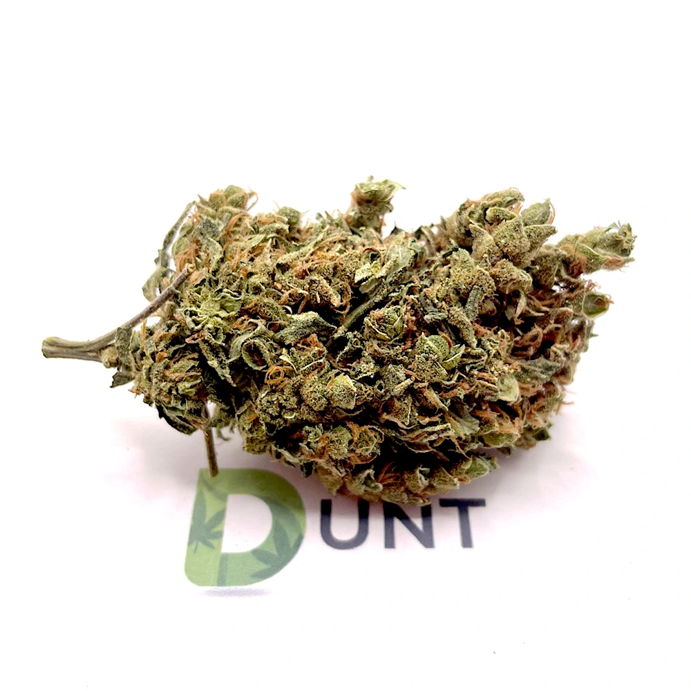 Lemon Haze wiet