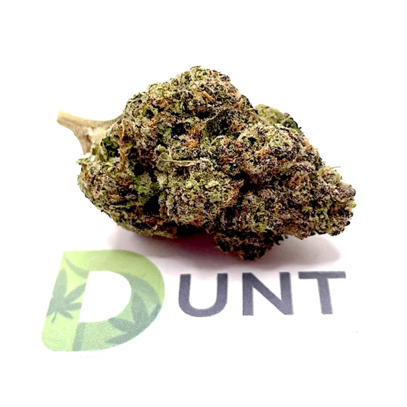 Sour Diesel Cannabis