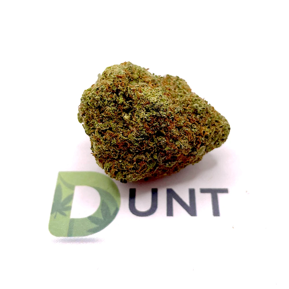 Gelato 41 wiet