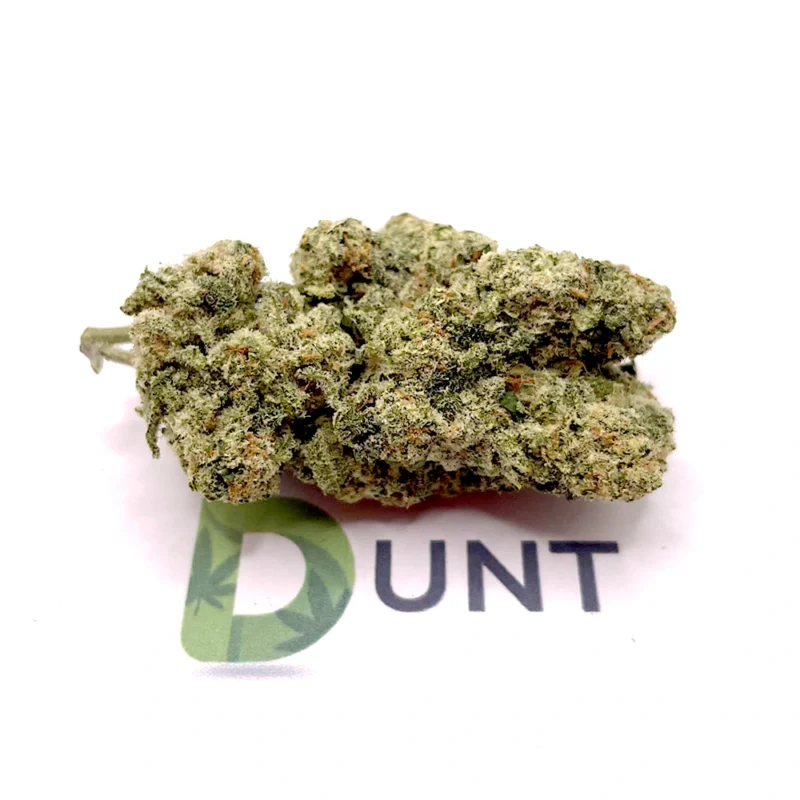 White Widow