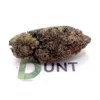 Purple Haze