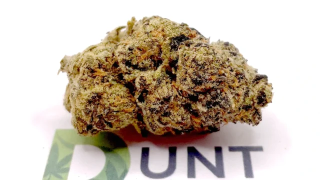 Sherbert cannabis