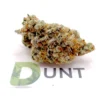 Orange Bud cannabis