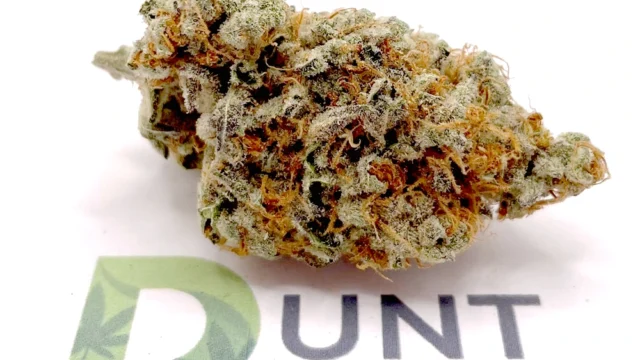 Orange Bud Cannabis