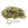 Amnesia Haze Gravel