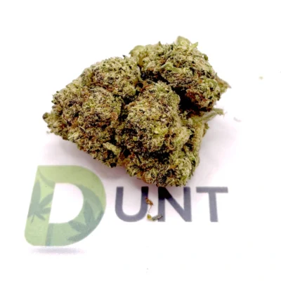 Cherry Gelato