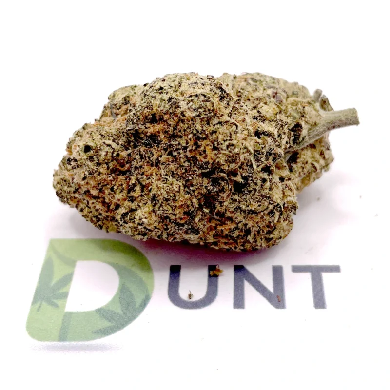 Forbidden Fruit