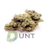 Casey Jones