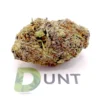 GG4