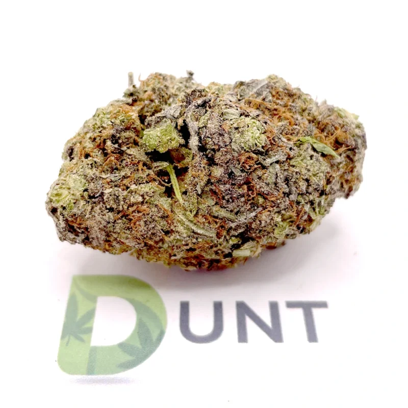 GG4