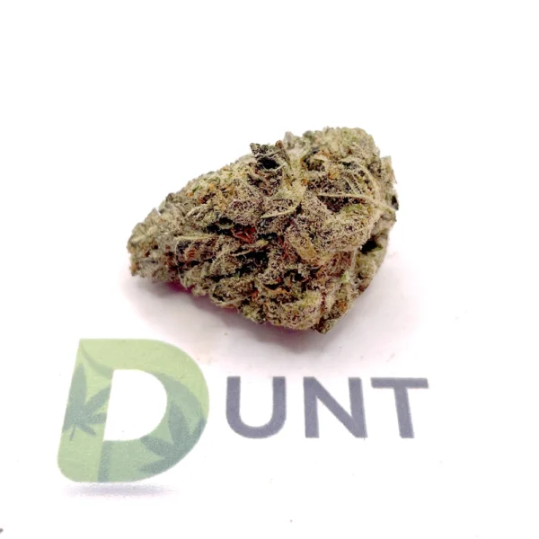 Pink Cookies Cannabis-Blüten mit süßem Keks- und Kirsch-Aroma